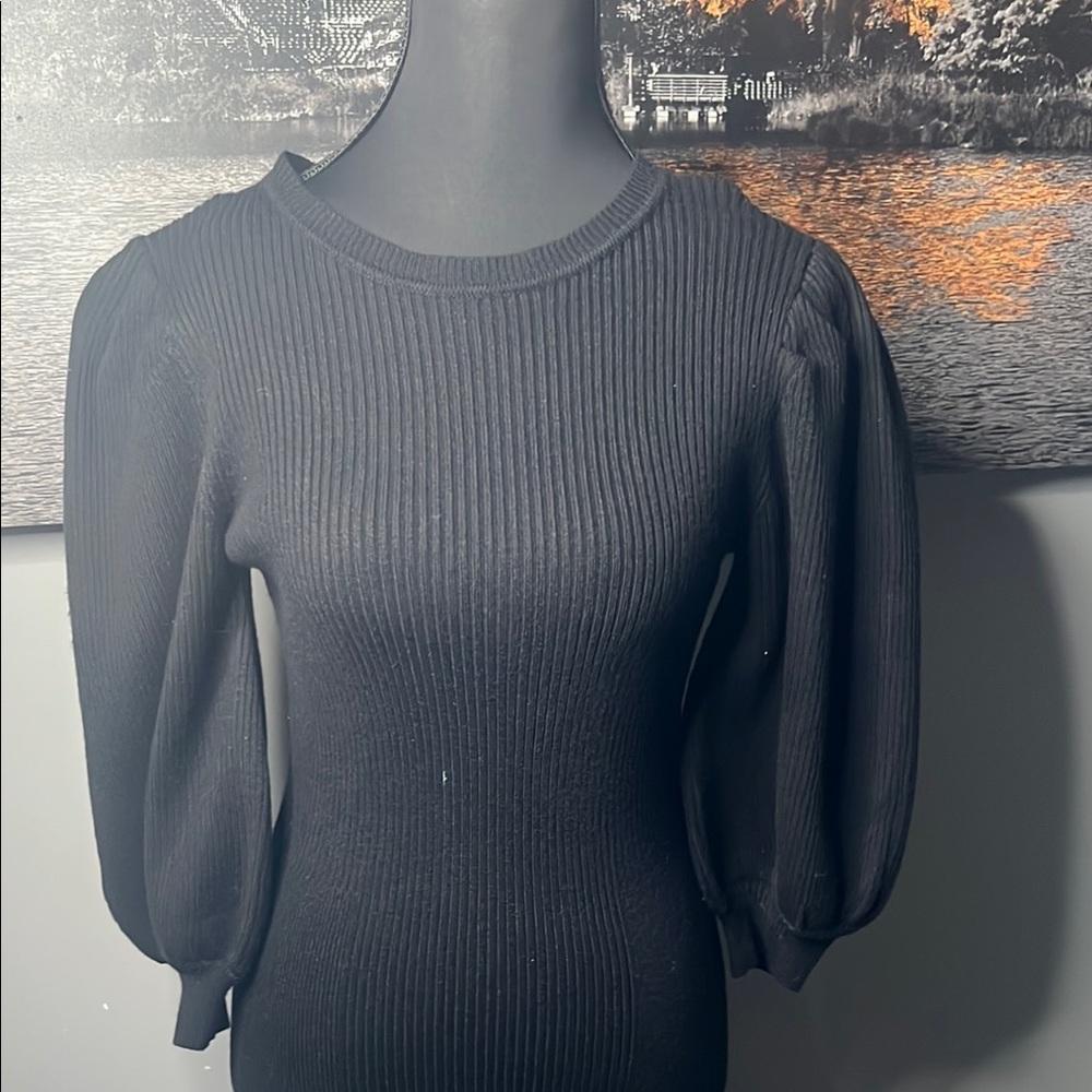 Zara Black Long Sleeve Dress